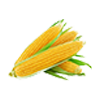 Mais.png