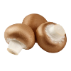 Pmushrooms.png