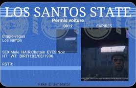 Permis ls.jpg