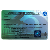 License de pilote.png