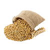 Malt.png