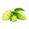 Houblon.png