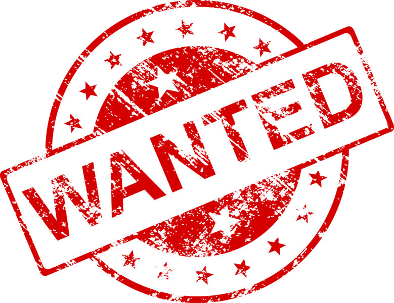 Fichier:Wanted.png