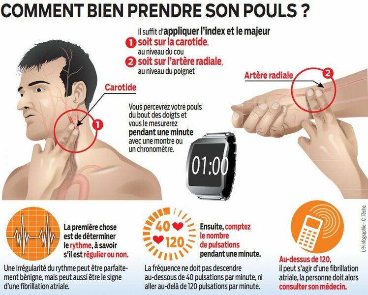 Fichier:Pouls.jpg