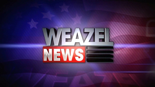 Fichier:Weazel News.webp