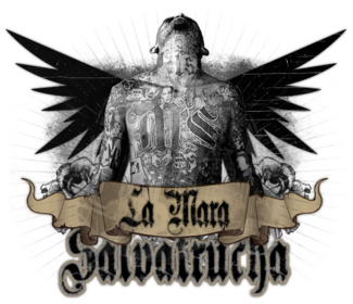 62288c23723e11cefa4baf23cc0d8b3d.png