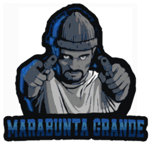 Emblem 512 (2).png